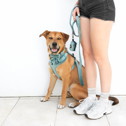 Teal Velvet Harness