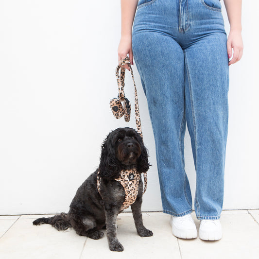 60% OFF! Jungle Velvet STEP IN Harness