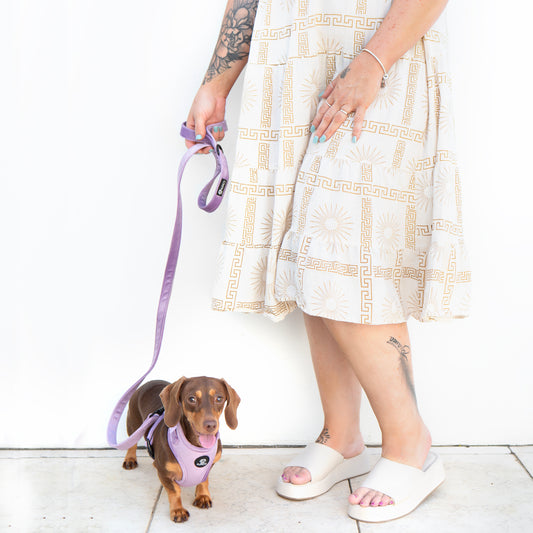 Lilac Velvet Harness