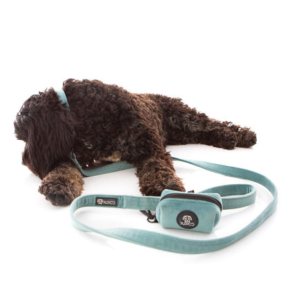 Teal Collar Bundle