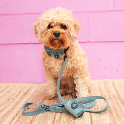 Teal Collar Bundle