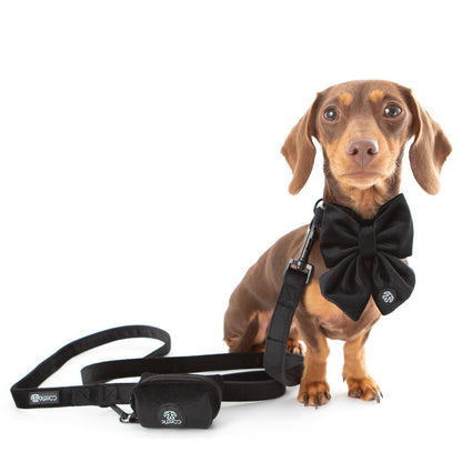 Black Collar Bundle