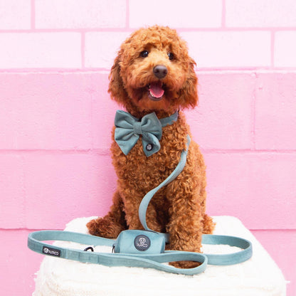 Teal Collar Bundle