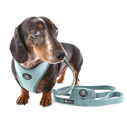 Teal Velvet Harness Bundle
