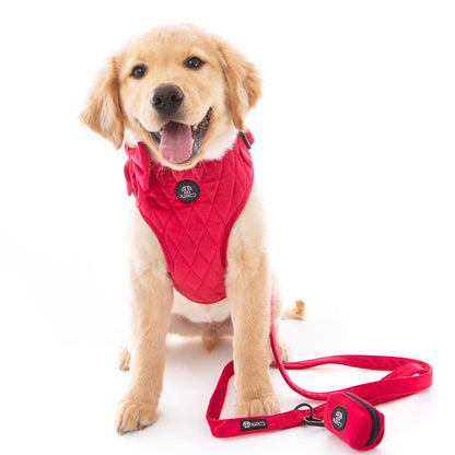 Red Quilted Velvet Harness