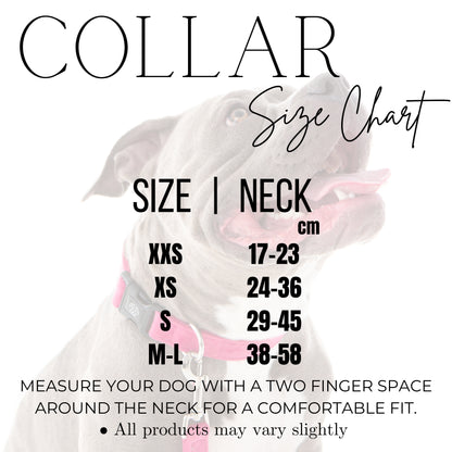 Steel Blue Velvet Harness Bundle