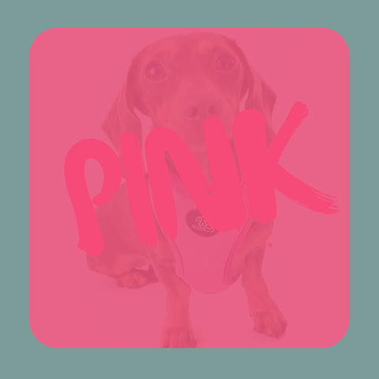 PRE ORDER!!! Velvet Deluxe Harness Pink