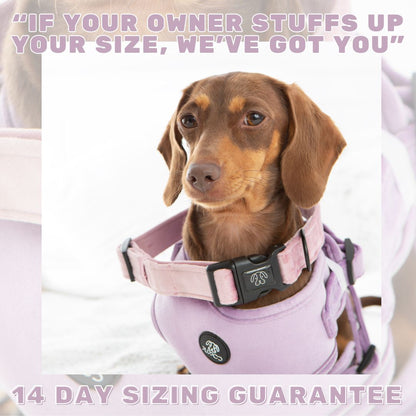 Pink Velvet Harness