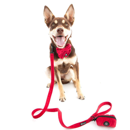 Red Collar Bundle