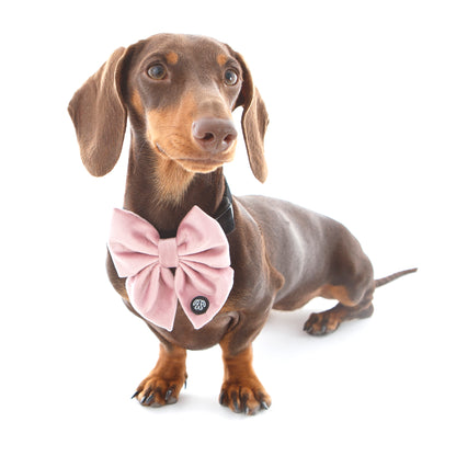 Dusty Pink Velvet Sailor Bow