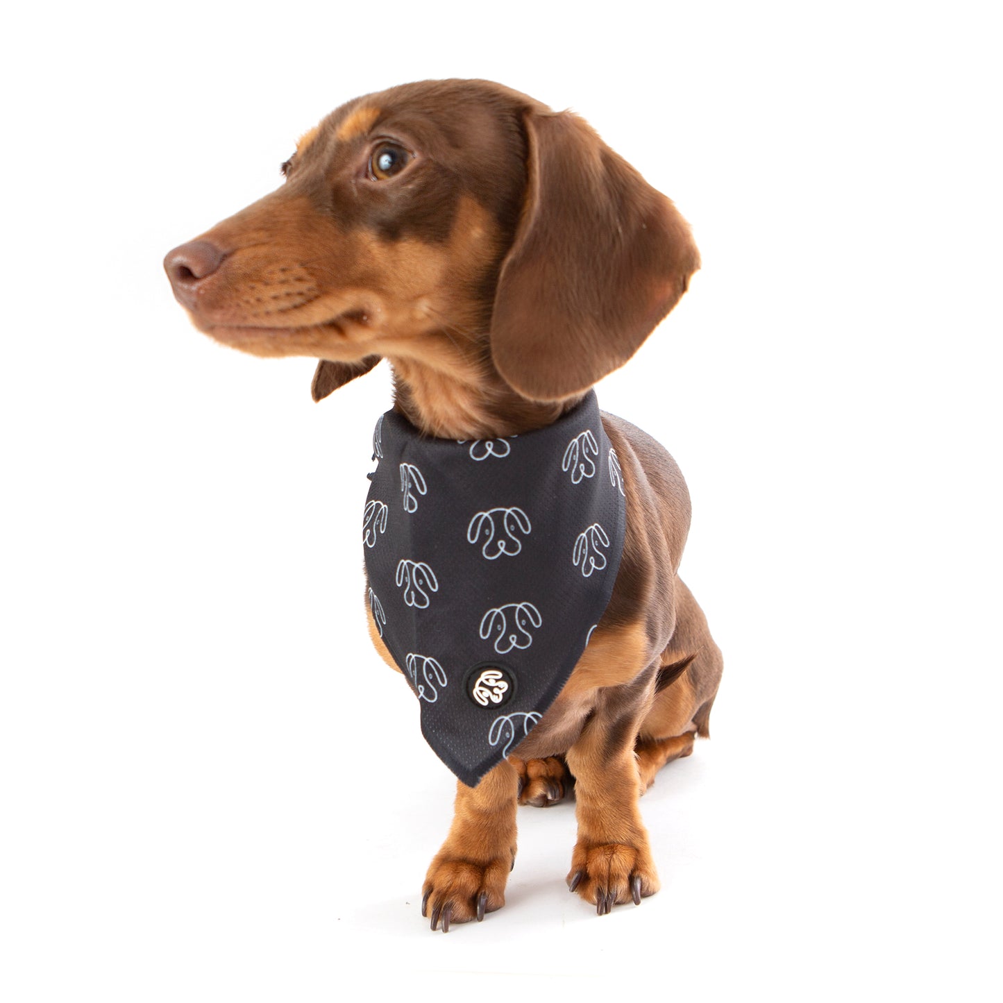 60% OFF! PuppHead Bandana