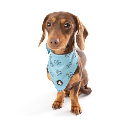 60% OFF! PuppHead Bandana