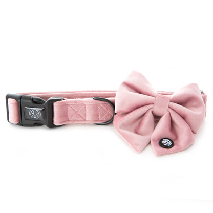 Dusty Pink Velvet Collar