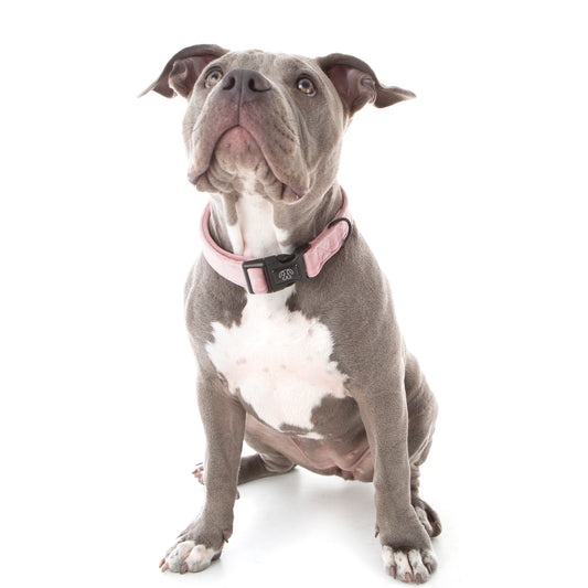 Dusty Pink Velvet Collar