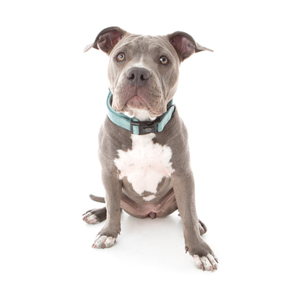 Teal Velvet Collar