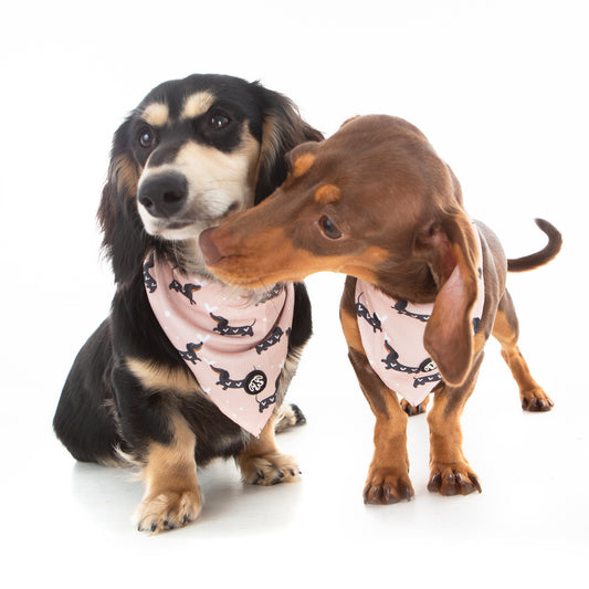 SnagLove Bandana