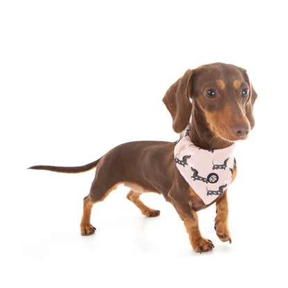 60% OFF! SnagLove Bandana