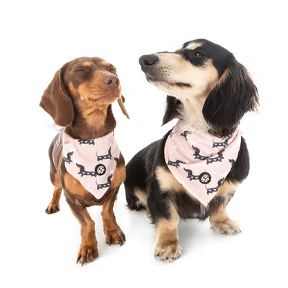 60% OFF! SnagLove Bandana