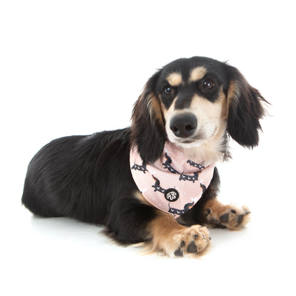 60% OFF! SnagLove Bandana