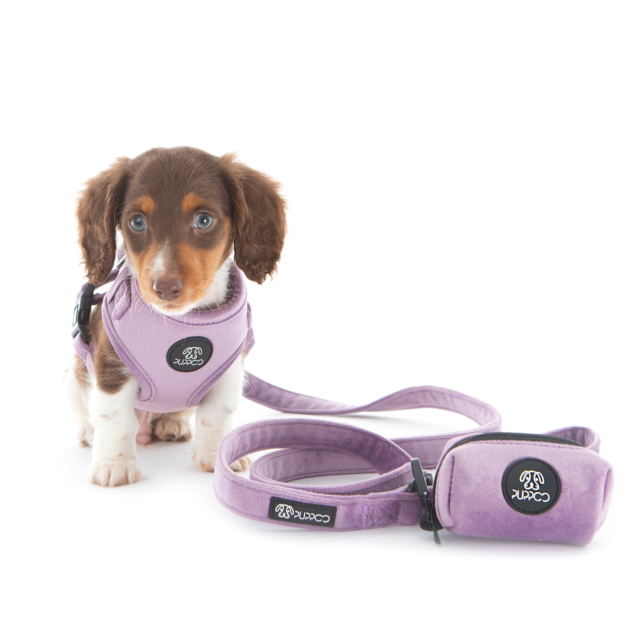 Velvet sales dog harness