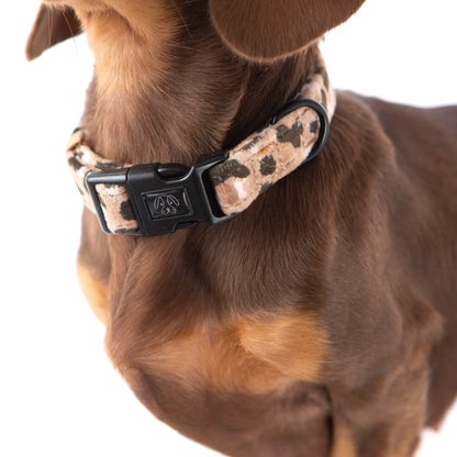 Jungle Velvet Collar