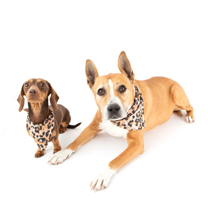 60% OFF! JungleStyle Bandana
