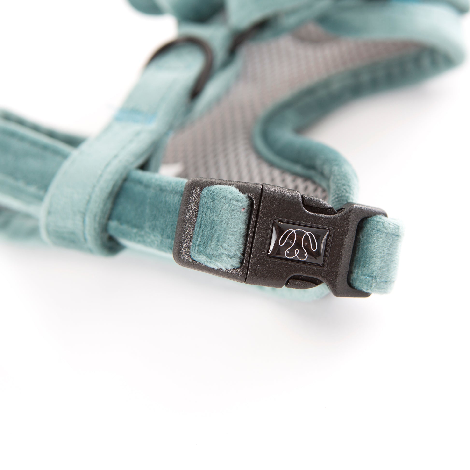 Teal velvet dog harness close up buckle