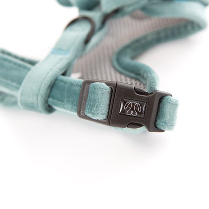 Teal velvet dog harness close up buckle