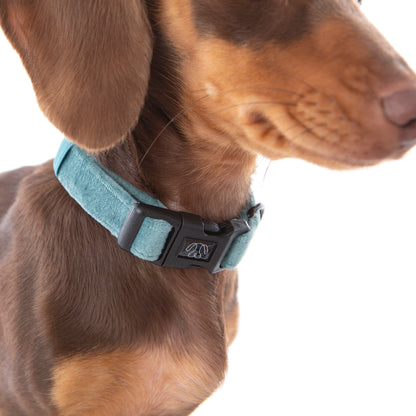 Teal Velvet Collar
