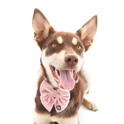 Dusty Pink Velvet Sailor Bow