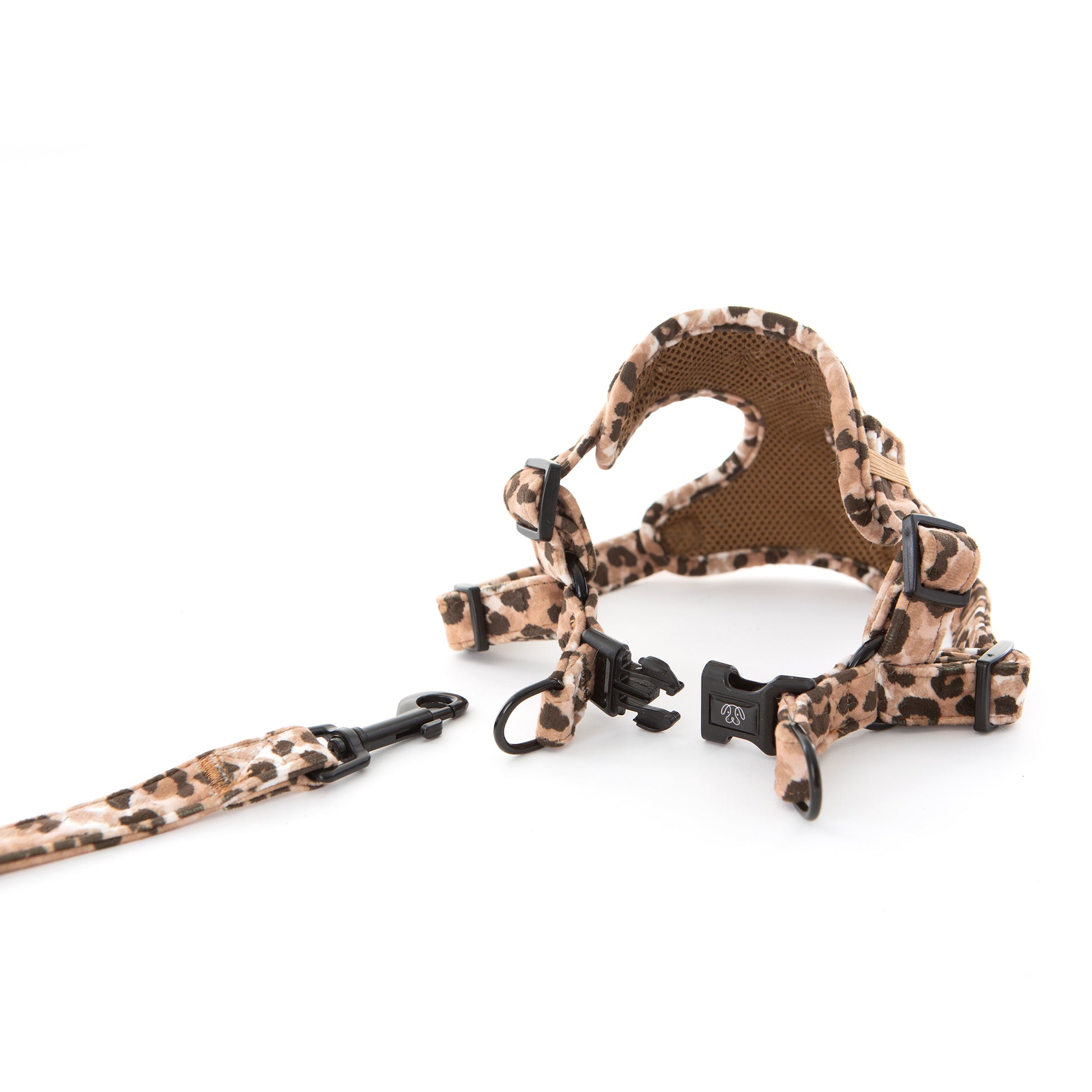 Leopard Print dog harness and lead