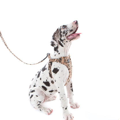 60% OFF! Jungle Velvet STEP IN Harness